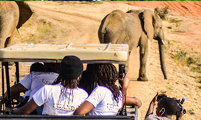 Travel Experience