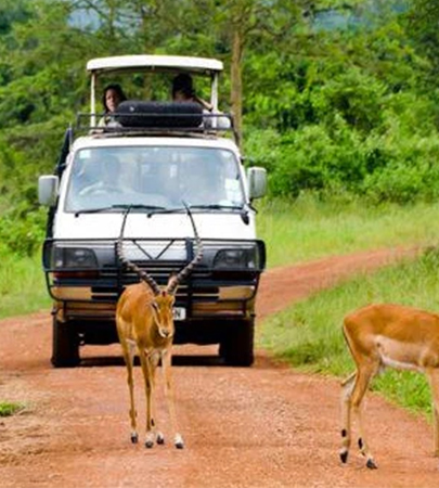 Travel Experience