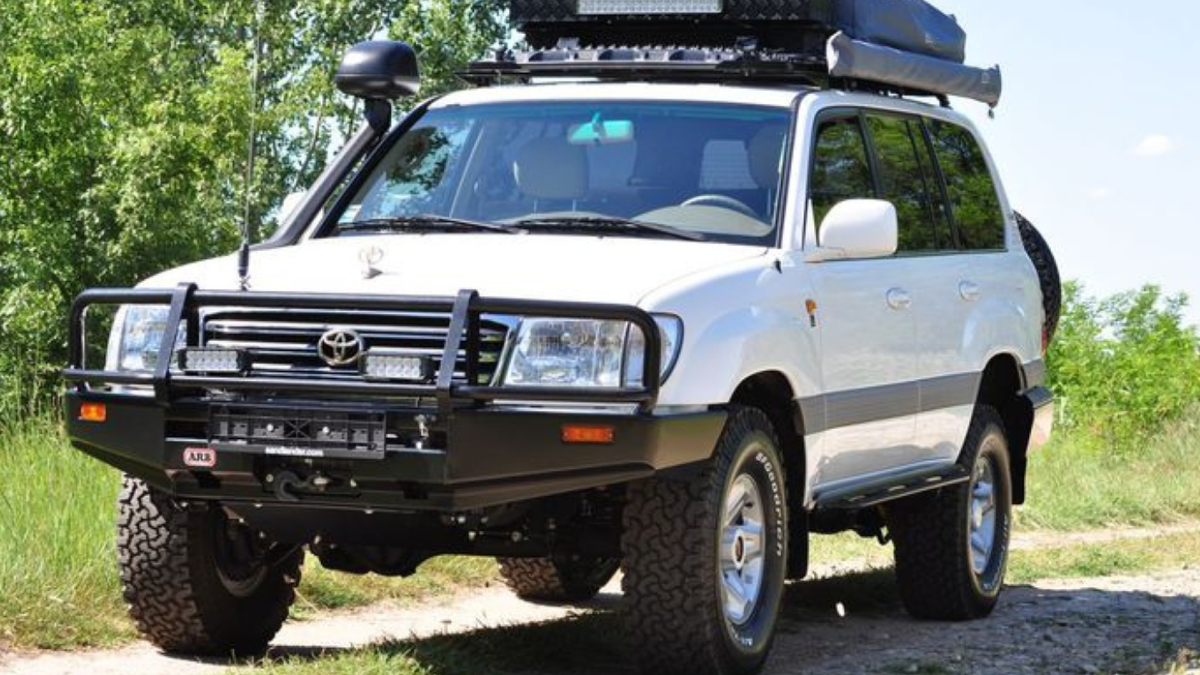 Gorilla Trekking in Uganda - Everything You Need to Know