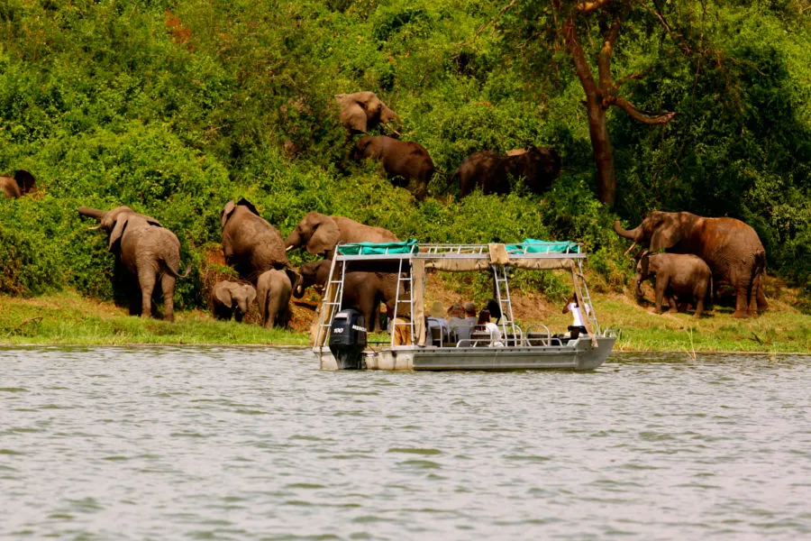 8 Days Rwanda Ultra Luxury Safari